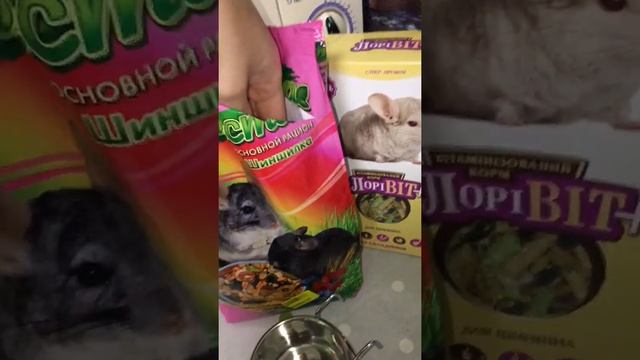 Video 3. Корм для шиншиллы. Как и чем кормить шиншиллу? How To Feed Chinchilla?