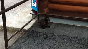 9. Путешествие продолжается. Кунгур. Красивый закат! Территория Кунгурский Ледяной пещеры. Сувениры