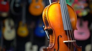 Ученическая скрипка Livingstone L-V200 4/4