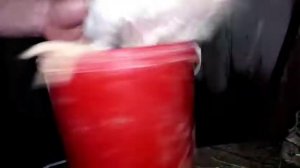 Бройлер 26 дней. Вес бройлера. Кобб 500.