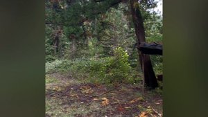 Абхазия - Поездка в город призрак - Акармара - Ткуарчал