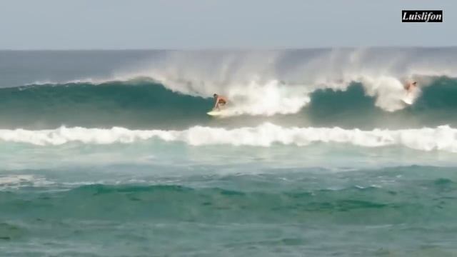 Shark Attack New English Movies 2021 смотреть онлайн