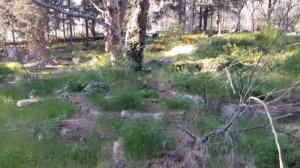 Отель "Олива-Арт", секретное место для прогулки