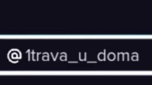 ~~~{Реакция Не_13 карт на ТТ}~~~{_ Adiona _}~~~