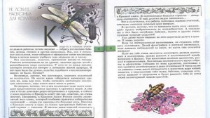 Не ловите насекомых для коллекций. Великан на поляне