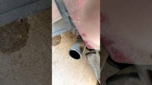 Звук выхлопа глушителя триалли