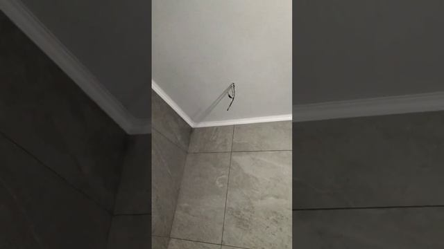 ванная комната , потолок, выбор краски, какой потолок лучше? смотреть онлайн