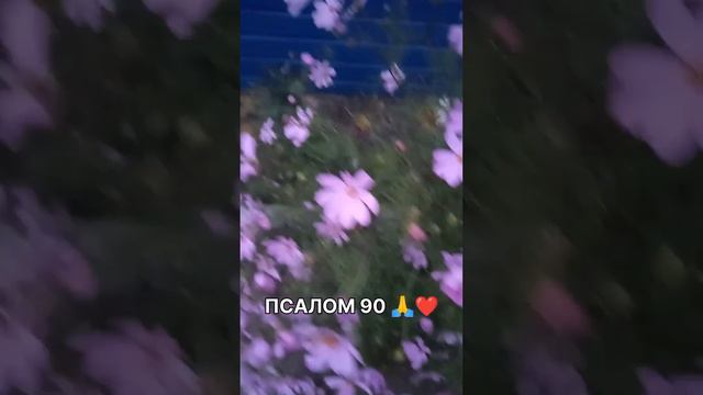 ПСАЛОМ 90 🙏❤️ #рек #библия #словобожье #псалом90