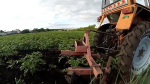 Окучивание картошки с помощью трактора т-30-69.