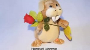 Нежный Моржик. Дарики 51.ру