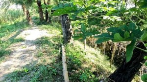 lv_0_20221008171601.mp4