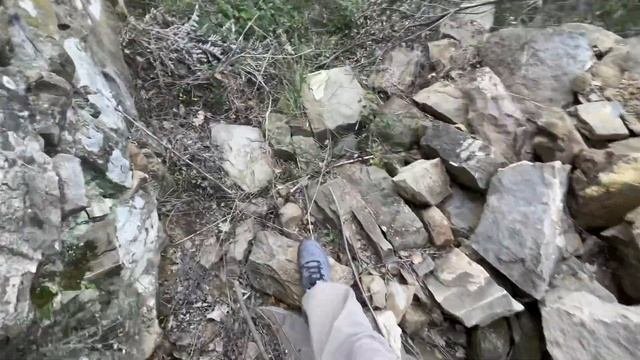 Где изготавливают оливковое масло. Оливковые плантации. Оливковые деревья. Трекинг.