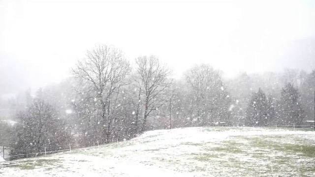 НДП-СТРИМ. Отмечаем день телевидения смотреть онлайн