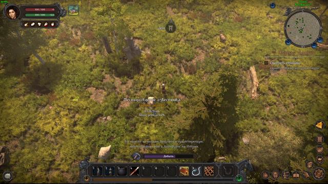 Wild Terra 2 New Lands Ч2 Странный тут однако сюжет