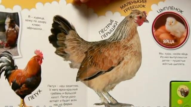 Про корову-хозяюшку и не только изд. Азбукварик