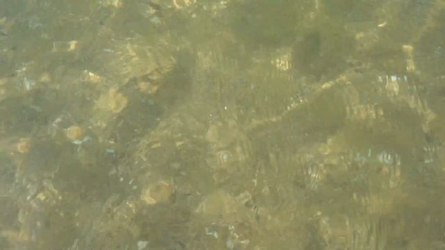 #Море в #Благовещенской. Кристальная вода с запахом моря. #Анапа #Отдых #Пляж смотреть онлайн