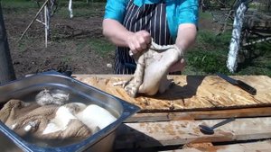 ТРЕБУХА ЧИСТИМ! не БРОСАЕМ!