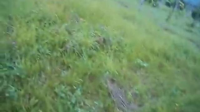 Экскурсия по родовому поместью Провороцких июнь 2016