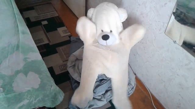 Мишка в ритме Танго смотреть онлайн