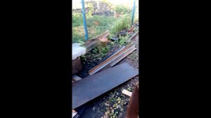 Самодельная копалка на трактор Т25 Часть 1