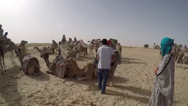 Катание на верблюдах по пустыне Сахара, Тунис
