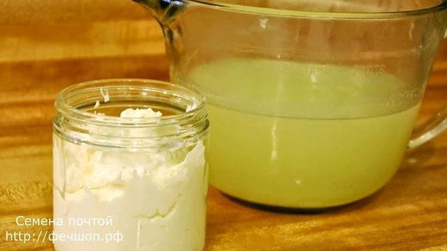 Одна обработка огурцов от всех болезней! смотреть онлайн