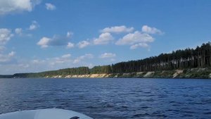 Река Молога