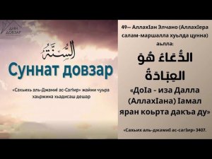 49- хьадис || «Сахьих аль-джамиI ас-сагIир»