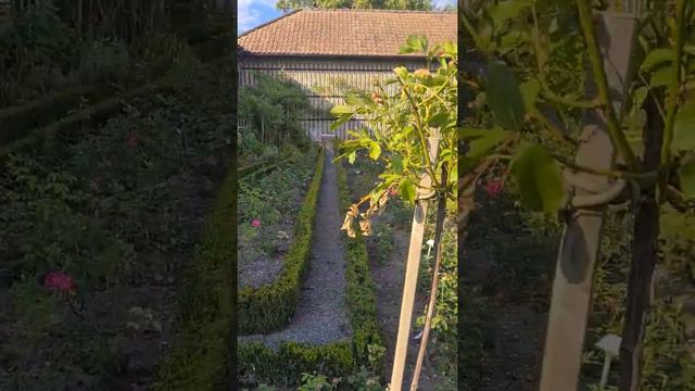 страна чудес. Швейцария. смотреть онлайн