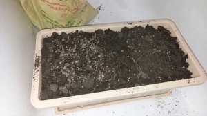 Создаём? свой огород на балконе.Зелень всегда под рукой?