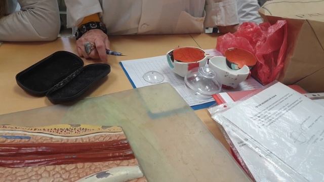 Орган зрения и его вспомогательный аппарат