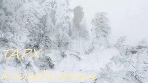 ТАРХ - Колыбельная