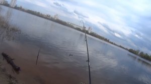 ПИКЕР-ЭТО ПРОСТО.ПРОСТАЯ РЫБАЛКА.ЛОВЛЯ РАЗНОРЫБИЦЫ НА ПИКЕР