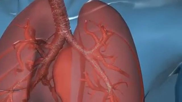 Inhalacja z PARI TurboBOY SX - instrukcja (EN) смотреть онлайн