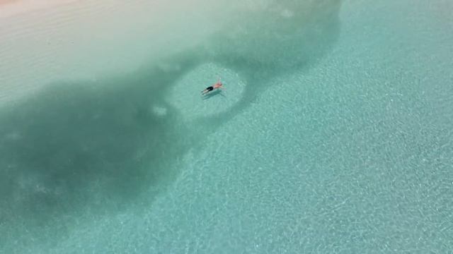 МОРЕ, ПАЛЬМЫ И ПЕСОК | Красивое видео природы | Гавайи смотреть онлайн