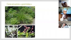 Les plantes vivaces. Les nouvelles vivaces asiatiques par Mickaël le Bret.