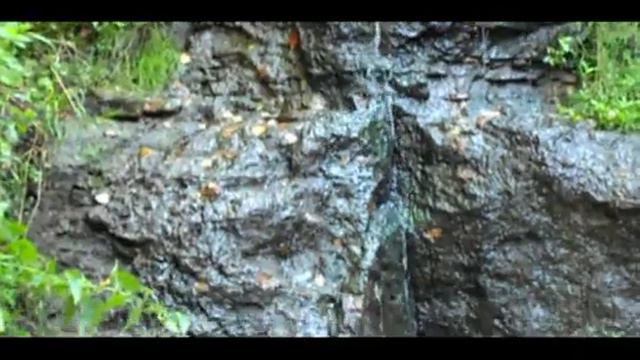 Полушкинские каменоломни