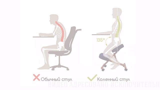 Стул для компьютера и здоровой спины. Врач об ортопедическом коленном стуле Богатырь