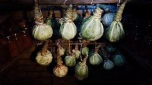 КАК ХРАНИТЬ КАПУСТУ ЗИМОЙ?! Лучший способ хранения капусты!