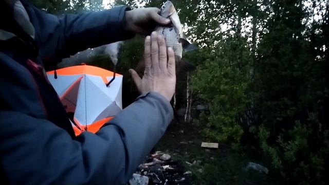 Рыбалка на фидер 2023. Ночевка на берегу в палатке смотреть онлайн