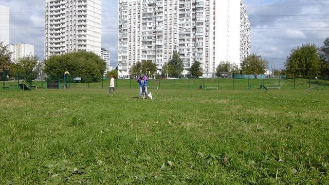 Алекс Кантэль Скарлетт. 1 - я разминка после затяжных летних каникул. СДП - "Орехово". 25.09.2016. смотреть онлайн