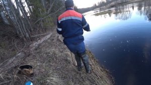 Налим на вьюна. Рыбалка в Ленинградской области. 2020г.