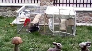 Газонокосилка своими руками:)