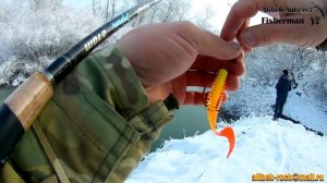 Рыбалка в Дагестане. Сулак. Электроудочники все уничтожили.