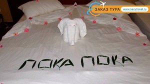 CLUB PALM BAY 4* Шри-Ланка Негомбо отзывы – отель КЛАБ ПАЛМ БАЙ 4* Негомбо отзывы видео
