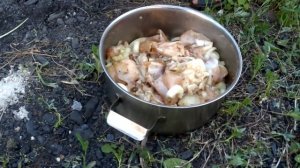 шашлык из курицы на решётки быстро и очень просто