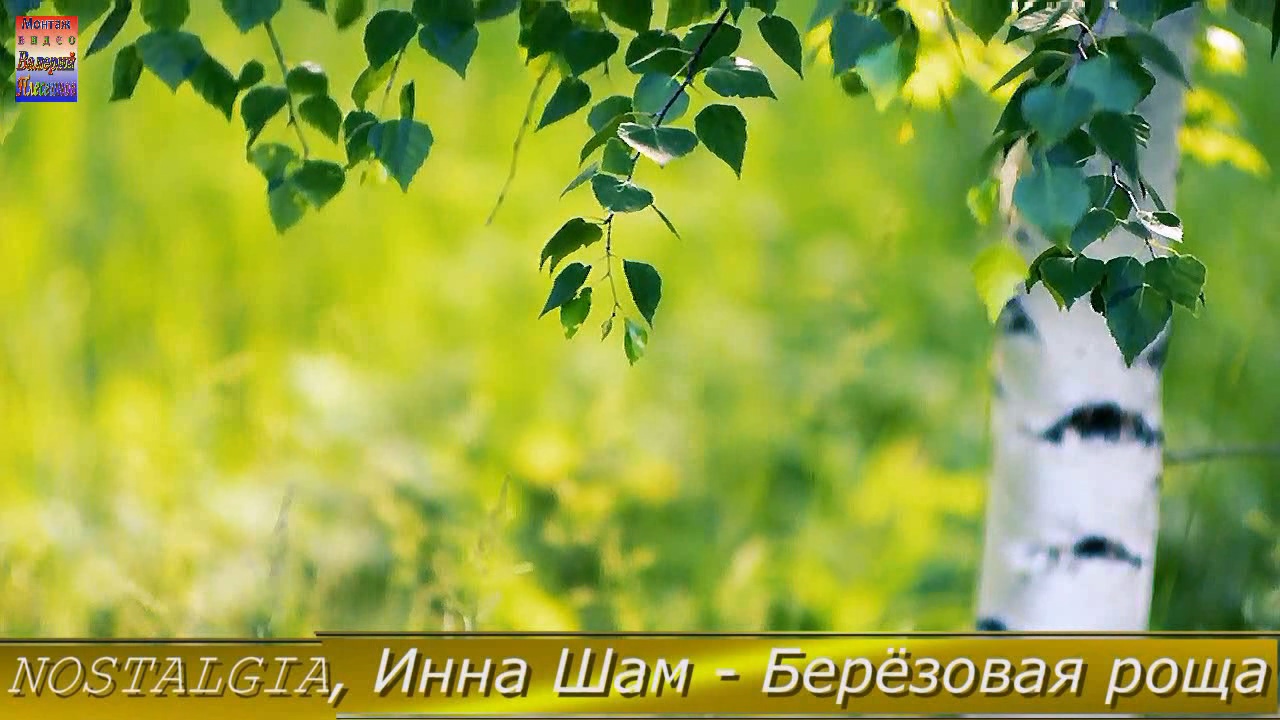 NOSTALGIA, Инна Шам - Берёзовая роща
