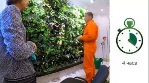 Фито стены LAND DECOR