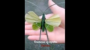 Плетение из травы