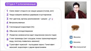 Цикл Голосеменных на ЕГЭ по Биологии | Самое понятное объяснение